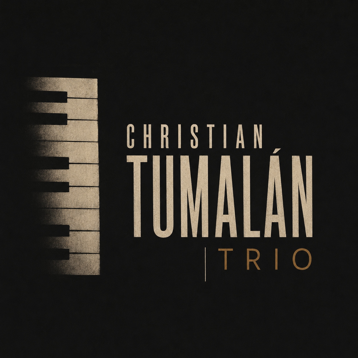Latin Jazz Trio mark